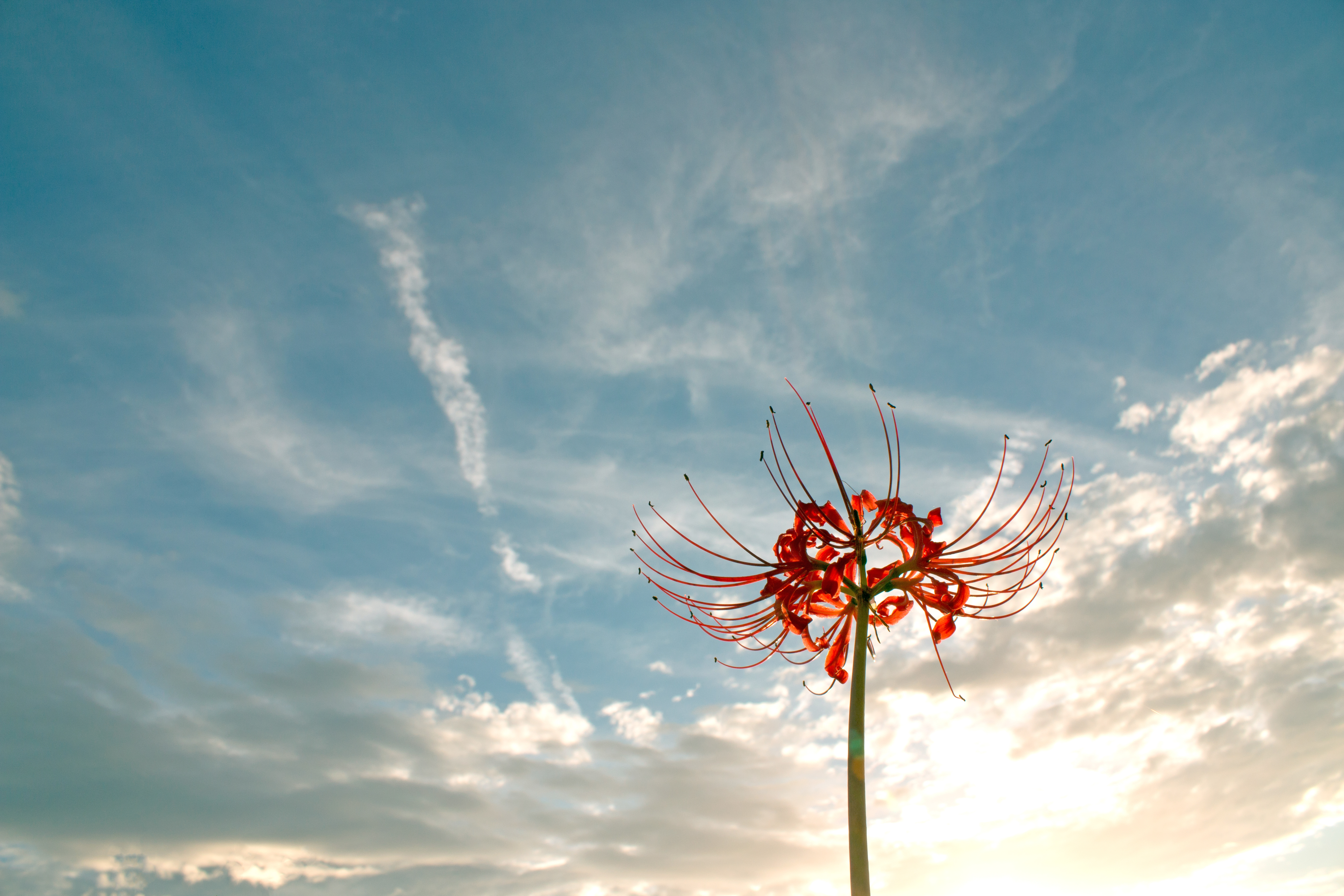 霊視能力を確信したその瞬間