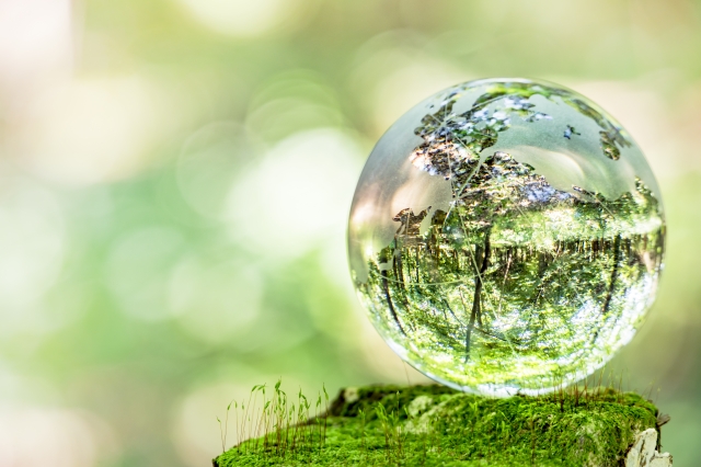 霊視鑑定結果のご感想　「魂の叫び」