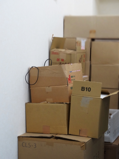 無事、お引越しが完了しました！