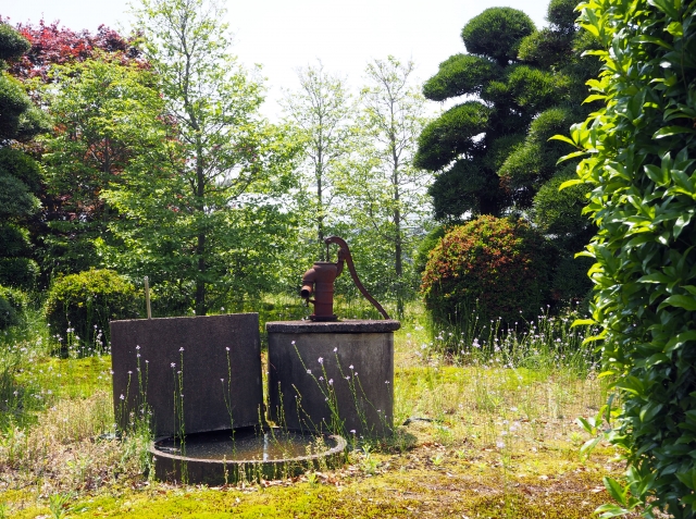 霊視鑑定結果のご感想　「埋められていた井戸」