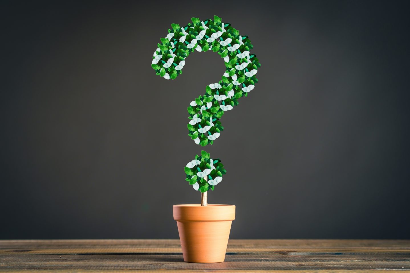 霊視鑑定結果のご感想　「何故、私はためされたのか」