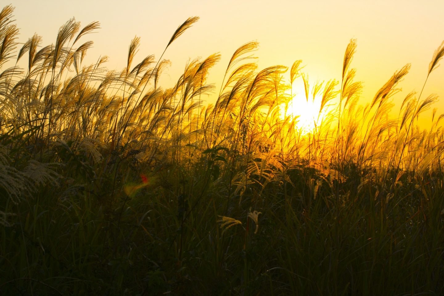 スピリチュアル　思考を停止させることのすすめ