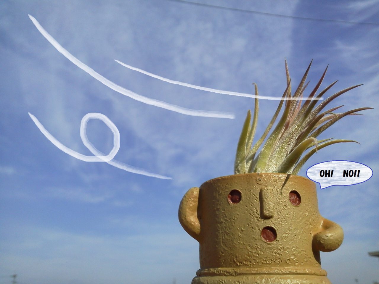 ひとまず心落ち着かせて