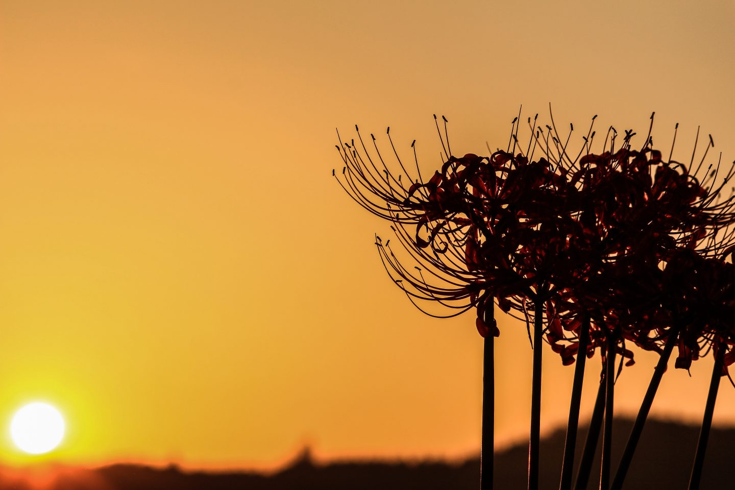 この先に待っているもの