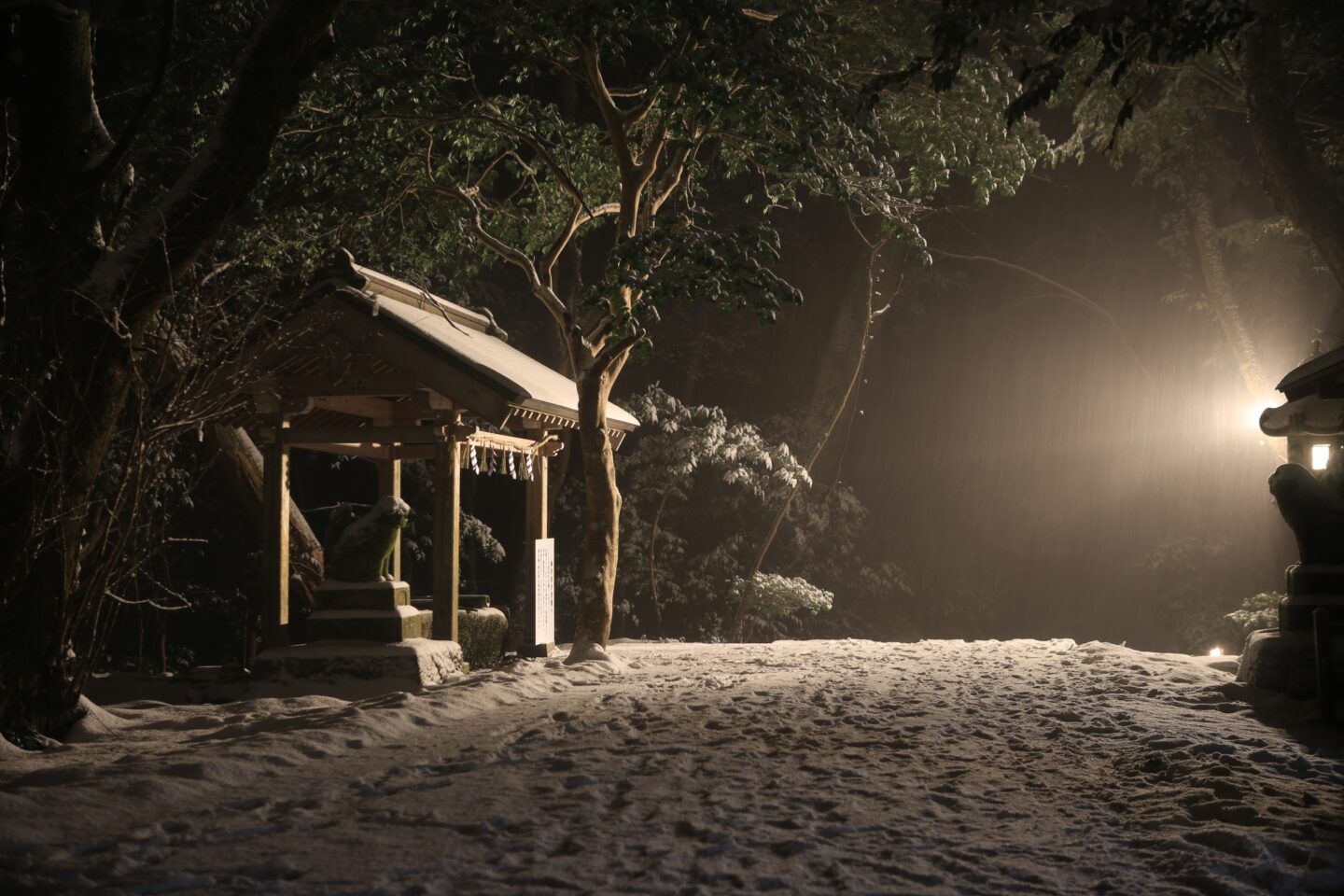 何もかもがお陰様　ゆく年に思う