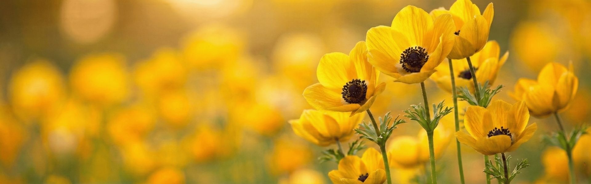 霊視は人生の指南書です。